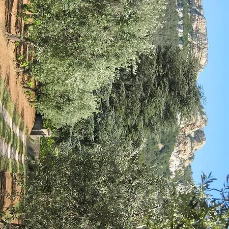 Lou Jas, Maison De Charme, A 1 Km De La * Cassis